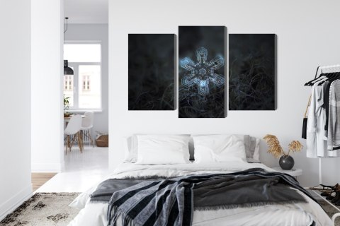 Obraz Wieloczęściowy Płatek Śniegu W Makroskali 3D Canvas Naturalny 90x60 LBS-3834-NC90-60_1X30-60_2X30-45