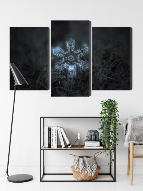 Obraz Wieloczęściowy Płatek Śniegu W Makroskali 3D Canvas Naturalny 90x60 LBS-3834-NC90-60_1X30-60_2X30-45