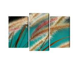 Obraz Wieloczęściowy Rośliny W Skali Makro Canvas Naturalny 90x60 LBS-3689-NC90-60_1X30-60_2X30-45