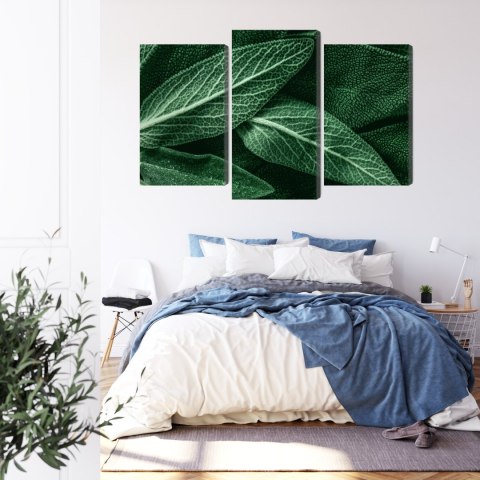 Obraz Wieloczęściowy Szałwia Odchodzi W Skali Makro Canvas 120x80 LBS-3809-C120-80_1X40-80_2X40-60