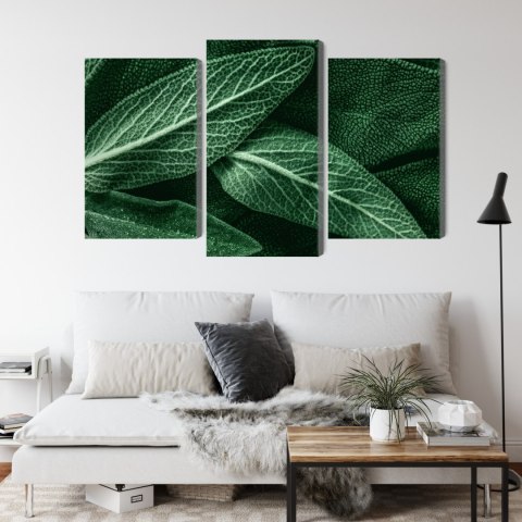 Obraz Wieloczęściowy Szałwia Odchodzi W Skali Makro Canvas 120x80 LBS-3809-C120-80_1X40-80_2X40-60