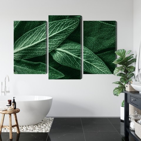 Obraz Wieloczęściowy Szałwia Odchodzi W Skali Makro Canvas 120x80 LBS-3809-C120-80_1X40-80_2X40-60