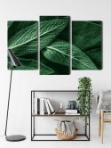 Obraz Wieloczęściowy Szałwia Odchodzi W Skali Makro Canvas 120x80 LBS-3809-C120-80_1X40-80_2X40-60