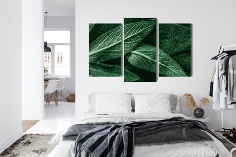 Obraz Wieloczęściowy Szałwia Odchodzi W Skali Makro Canvas Naturalny 90x60 LBS-3809-NC90-60_1X30-60_2X30-45