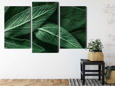 Obraz Wieloczęściowy Szałwia Odchodzi W Skali Makro Canvas Naturalny 90x60 LBS-3809-NC90-60_1X30-60_2X30-45
