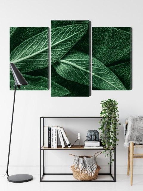 Obraz Wieloczęściowy Szałwia Odchodzi W Skali Makro Canvas Naturalny 90x60 LBS-3809-NC90-60_1X30-60_2X30-45
