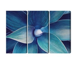 Obraz Wieloczęściowy Widok Z Góry Rośliny W Skali Makro Canvas 120x80 LBS-3878-C120-80_3X40-80