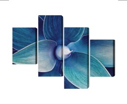 Obraz Wieloczęściowy Widok Z Góry Rośliny W Skali Makro Canvas Naturalny 80x50 LBS-3881-NC80-50_2X20-50_2X20-30