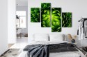 Obraz Wieloczęściowy Zielona Roślina W Skali Makro Canvas Naturalny 80x50 LBS-3711-NC80-50_2X20-50_2X20-30