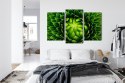 Obraz Wieloczęściowy Zielona Roślina W Skali Makro Canvas Naturalny 90x60 LBS-3709-NC90-60_1X30-60_2X30-45