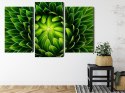 Obraz Wieloczęściowy Zielona Roślina W Skali Makro Canvas Naturalny 90x60 LBS-3709-NC90-60_1X30-60_2X30-45