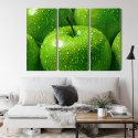 Obraz Wieloczęściowy Zielone Jabłka W Skali Makro Canvas 120x80 LBS-3927-C120-80_3X40-80