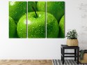 Obraz Wieloczęściowy Zielone Jabłka W Skali Makro Canvas 120x80 LBS-3927-C120-80_3X40-80