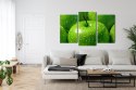 Obraz Wieloczęściowy Zielone Jabłka W Skali Makro Canvas 120x80 LBS-3929-C120-80_1X40-80_2X40-60