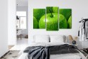 Obraz Wieloczęściowy Zielone Jabłka W Skali Makro Canvas 120x80 LBS-3929-C120-80_1X40-80_2X40-60