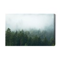 Obraz Na Płótnie Amazing Mystical Rising Fog Forest Trees Landscape In Black Forest ( Schwarzwald ) Germany Panorama Banner - Da