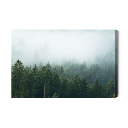 Obraz Na Płótnie Amazing Mystical Rising Fog Forest Trees Landscape In Black Forest ( Schwarzwald ) Germany Panorama Banner - Da