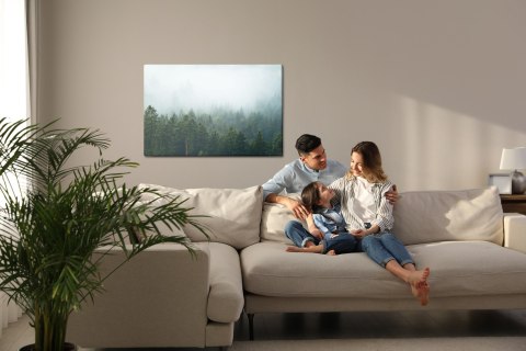 Obraz Na Płótnie Amazing Mystical Rising Fog Forest Trees Landscape In Black Forest ( Schwarzwald ) Germany Panorama Banner - Da