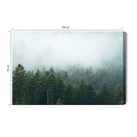 Obraz Na Płótnie Amazing Mystical Rising Fog Forest Trees Landscape In Black Forest ( Schwarzwald ) Germany Panorama Banner - Da