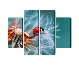 Obraz Wieloczęściowy Biedronka Na Mniszku Lekarskim W Skali Makro Canvas Naturalny 80x60 LBS-3645-NC80-60_2X20-60_2X20-40