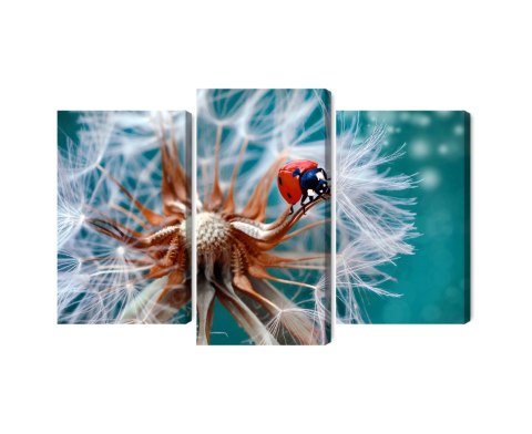 Obraz Wieloczęściowy Biedronka Na Mniszku Lekarskim W Skali Makro Canvas Naturalny 90x60 LBS-3952-NC90-60_1X30-60_2X30-45
