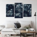 Obraz Wieloczęściowy Jagody Z Bliska 3D Canvas Naturalny 90x60 LBS-3839-NC90-60_1X30-60_2X30-45