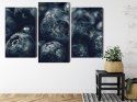 Obraz Wieloczęściowy Jagody Z Bliska 3D Canvas Naturalny 90x60 LBS-3839-NC90-60_1X30-60_2X30-45
