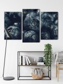 Obraz Wieloczęściowy Jagody Z Bliska 3D Canvas Naturalny 90x60 LBS-3839-NC90-60_1X30-60_2X30-45