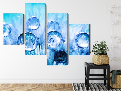 Obraz Wieloczęściowy Krople Rosy Na Nasionach Mniszka Lekarskiego W Skali Makro Canvas 120x75 LBS-3706-C120-75_2X30-75_2X30-45