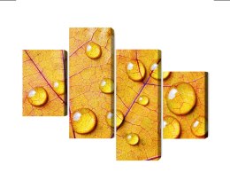 Obraz Wieloczęściowy Krople Wody Na Jesiennym Liściu Makro Canvas 120x75 LBS-3821-C120-75_2X30-75_2X30-45