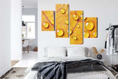 Obraz Wieloczęściowy Krople Wody Na Jesiennym Liściu Makro Canvas 120x75 LBS-3821-C120-75_2X30-75_2X30-45