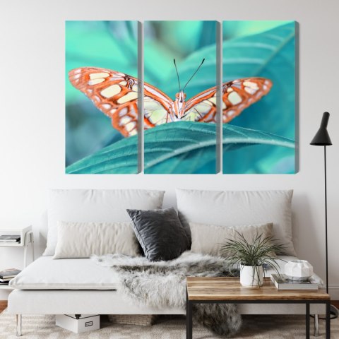 Obraz Wieloczęściowy Motyl Na Liściu W Skali Makro Canvas 120x80 LBS-3938-C120-80_3X40-80