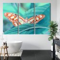 Obraz Wieloczęściowy Motyl Na Liściu W Skali Makro Canvas 120x80 LBS-3938-C120-80_3X40-80