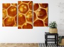 Obraz Wieloczęściowy Plaster Miodu W Skali Makro Canvas 120x80 LBS-3734-C120-80_1X40-80_2X40-60