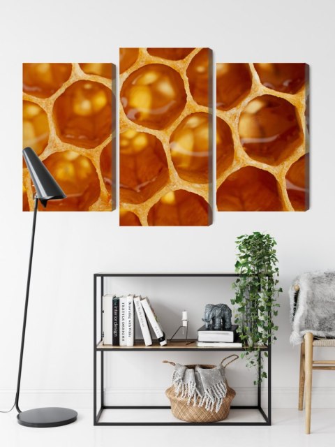 Obraz Wieloczęściowy Plaster Miodu W Skali Makro Canvas 120x80 LBS-3734-C120-80_1X40-80_2X40-60