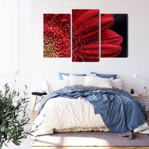 Obraz Wieloczęściowy Płatki Kwiatów W Skali Makro Canvas 120x80 LBS-3849-C120-80_1X40-80_2X40-60