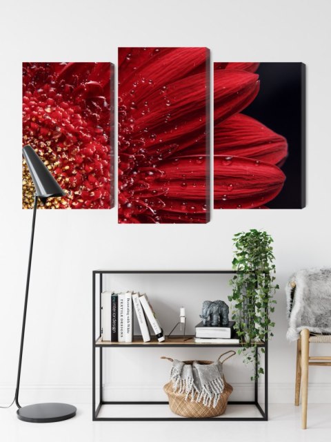 Obraz Wieloczęściowy Płatki Kwiatów W Skali Makro Canvas 120x80 LBS-3849-C120-80_1X40-80_2X40-60