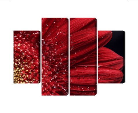 Obraz Wieloczęściowy Płatki Kwiatów W Skali Makro Canvas 80x60 LBS-3850-C80-60_2X20-60_2X20-40