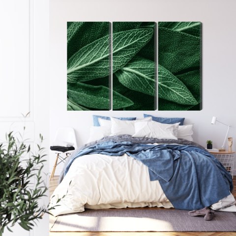 Obraz Wieloczęściowy Szałwia Odchodzi W Skali Makro Canvas 120x80 LBS-3808-C120-80_3X40-80