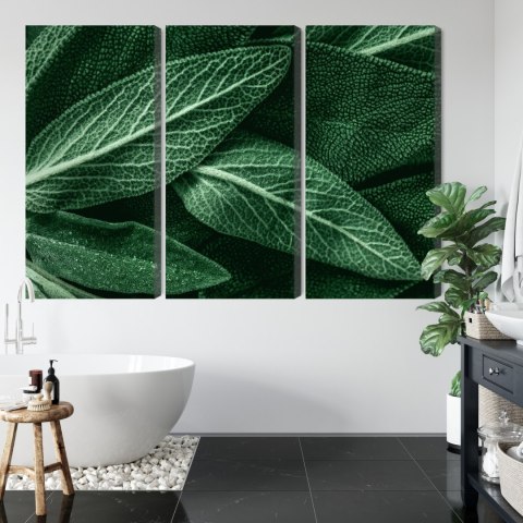 Obraz Wieloczęściowy Szałwia Odchodzi W Skali Makro Canvas 120x80 LBS-3808-C120-80_3X40-80