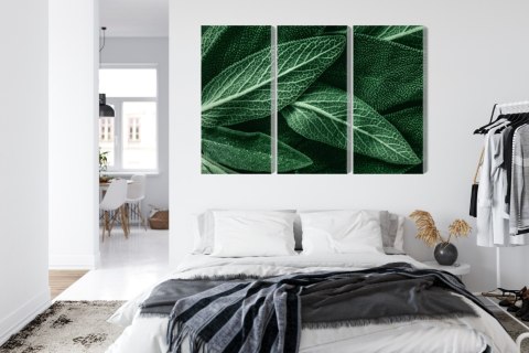 Obraz Wieloczęściowy Szałwia Odchodzi W Skali Makro Canvas 120x80 LBS-3808-C120-80_3X40-80