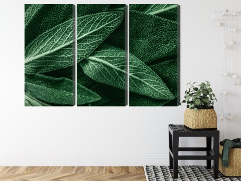 Obraz Wieloczęściowy Szałwia Odchodzi W Skali Makro Canvas 120x80 LBS-3808-C120-80_3X40-80