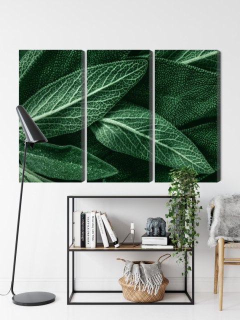 Obraz Wieloczęściowy Szałwia Odchodzi W Skali Makro Canvas 120x80 LBS-3808-C120-80_3X40-80