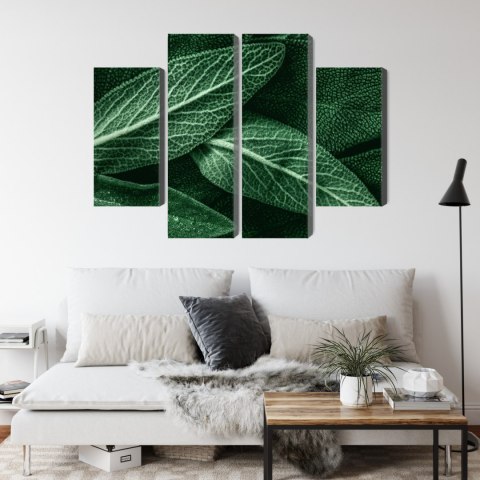 Obraz Wieloczęściowy Szałwia Odchodzi W Skali Makro Canvas 80x60 LBS-3810-C80-60_2X20-60_2X20-40