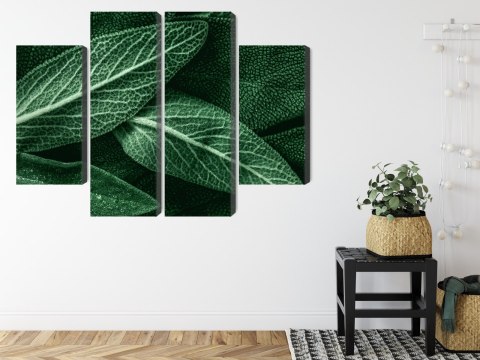 Obraz Wieloczęściowy Szałwia Odchodzi W Skali Makro Canvas 80x60 LBS-3810-C80-60_2X20-60_2X20-40