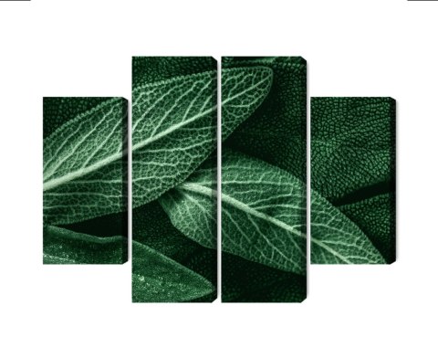 Obraz Wieloczęściowy Szałwia Odchodzi W Skali Makro Canvas Naturalny 80x60 LBS-3810-NC80-60_2X20-60_2X20-40