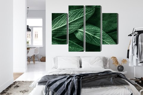 Obraz Wieloczęściowy Szałwia Odchodzi W Skali Makro Canvas Naturalny 80x60 LBS-3810-NC80-60_2X20-60_2X20-40