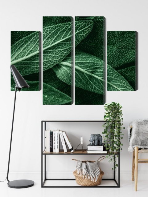 Obraz Wieloczęściowy Szałwia Odchodzi W Skali Makro Canvas Naturalny 80x60 LBS-3810-NC80-60_2X20-60_2X20-40