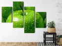 Obraz Wieloczęściowy Zielone Jabłka W Skali Makro Canvas 120x75 LBS-3931-C120-75_2X30-75_2X30-45