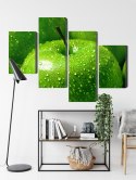 Obraz Wieloczęściowy Zielone Jabłka W Skali Makro Canvas 120x75 LBS-3931-C120-75_2X30-75_2X30-45